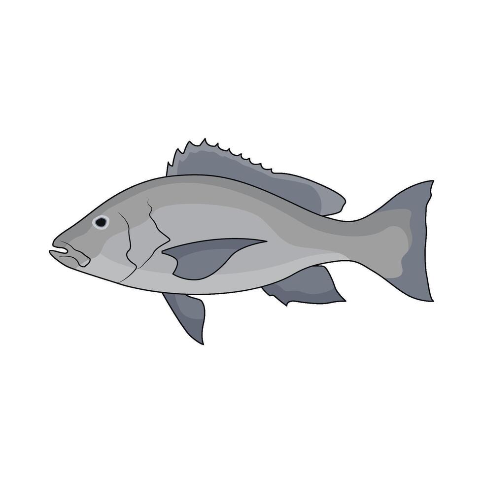 illustration of snapper fish vector