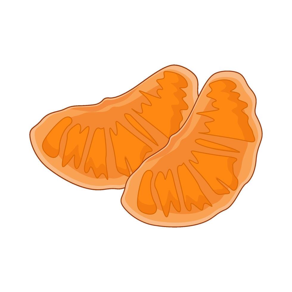 illustration of orange fruit vector