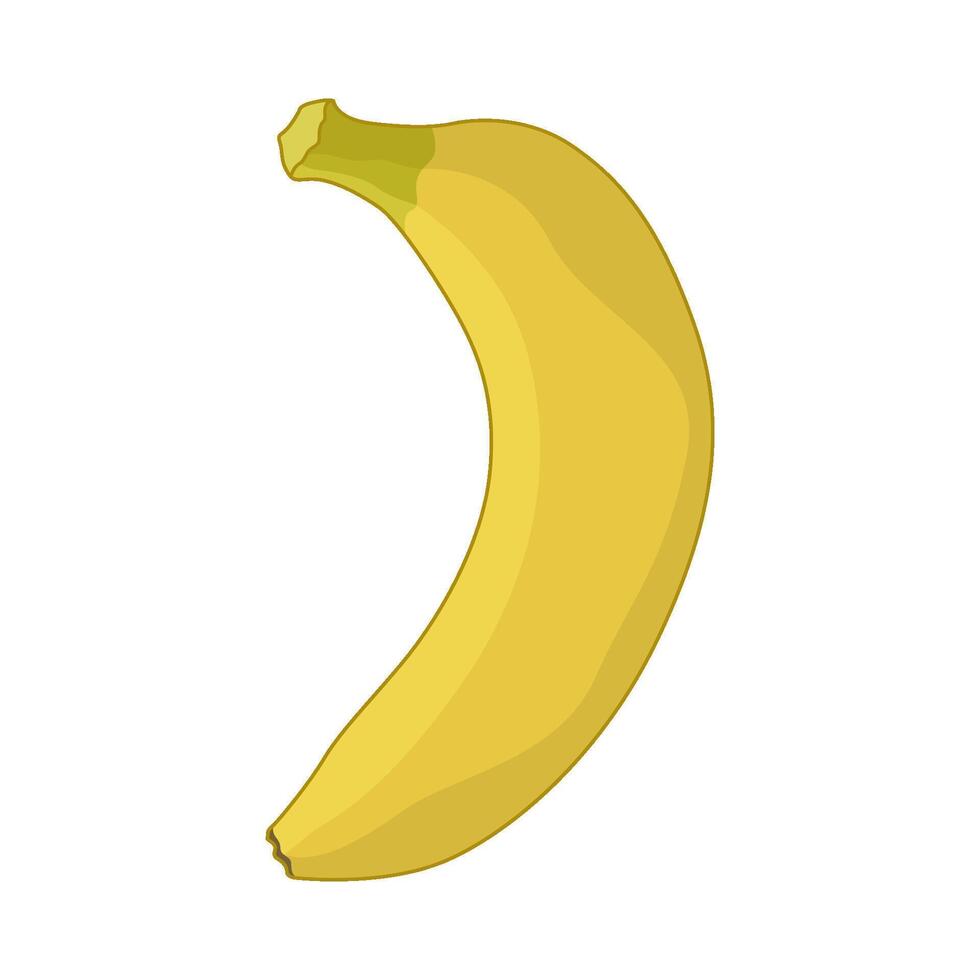 illustration of banana vector