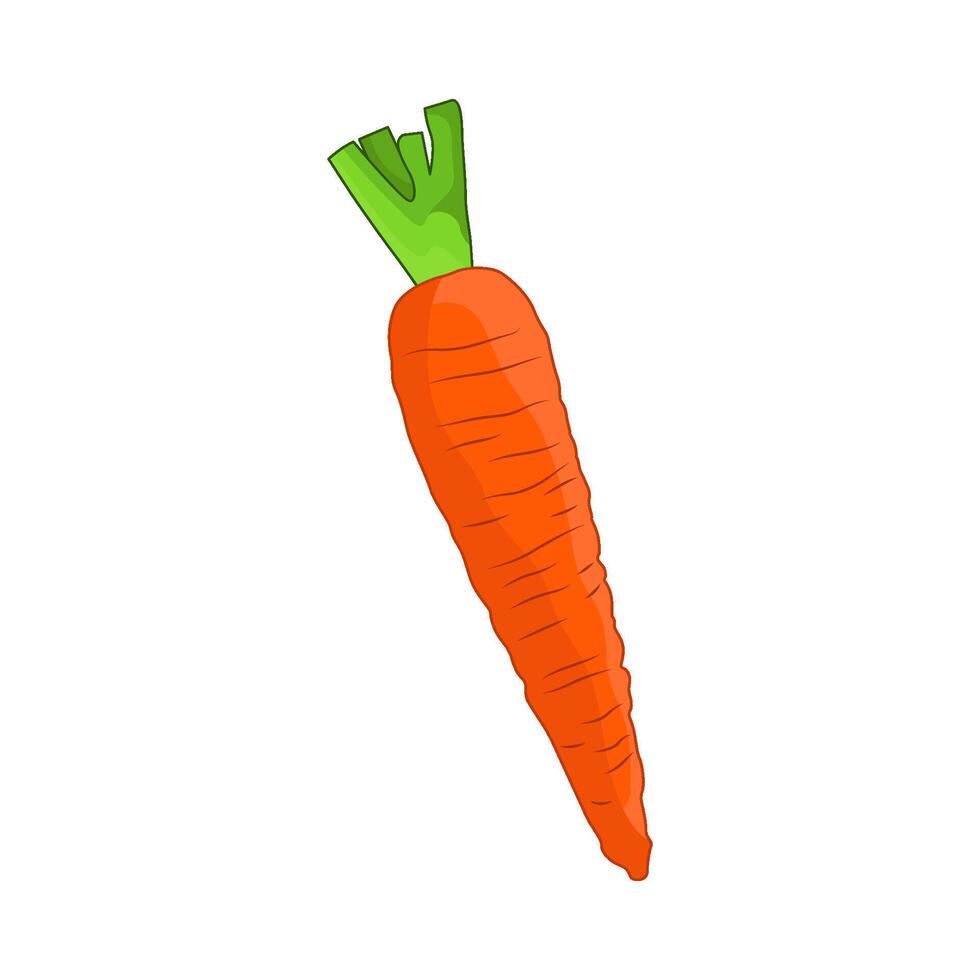 illustration of carrot vector