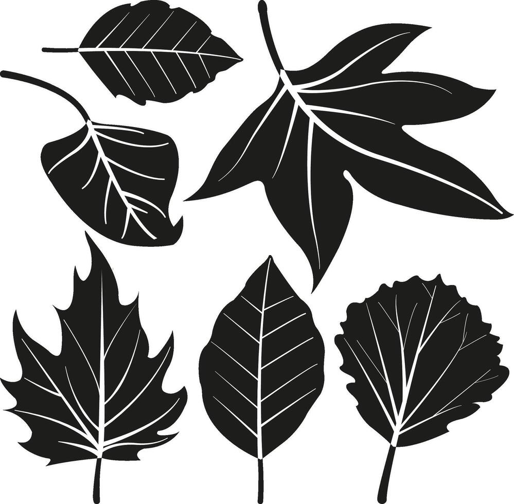 Set of tree leaves in black and white. Maple, birch tree and oak autumn leaves set. Forest fall leaf silhouette. vector