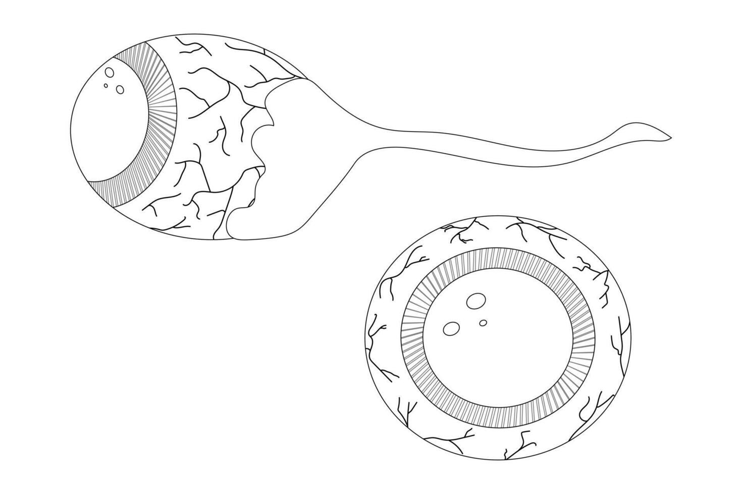 A spooky Halloween-themed eyeball coloring page. Great for kids and adults Halloween activities or creepy fun crafts. vector