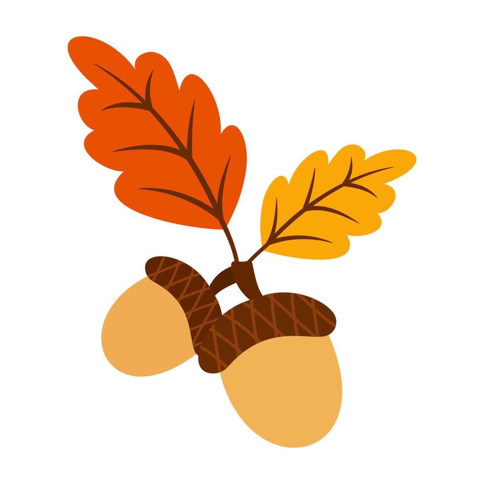 Thanksgiving-themed illustrations with turkey, boots, and autumn elements icon. vector