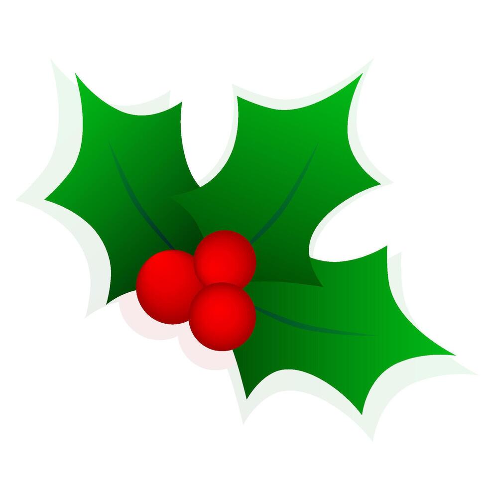 Holly Christmas decorations. Green leaves and red berries. illustration vector