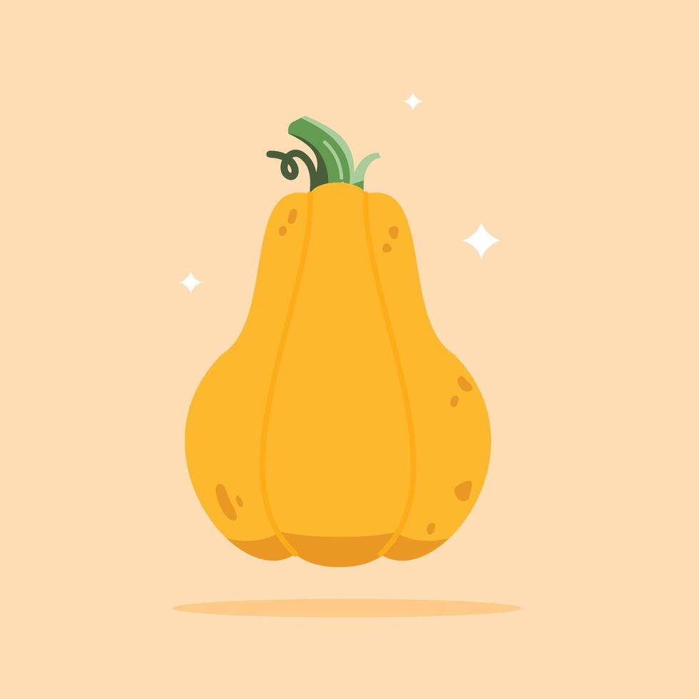 yellow Pumpkin vegetable illustration. Autumn pumpkin symbol for Halloween or Thanksgiving on Flat Design. vector