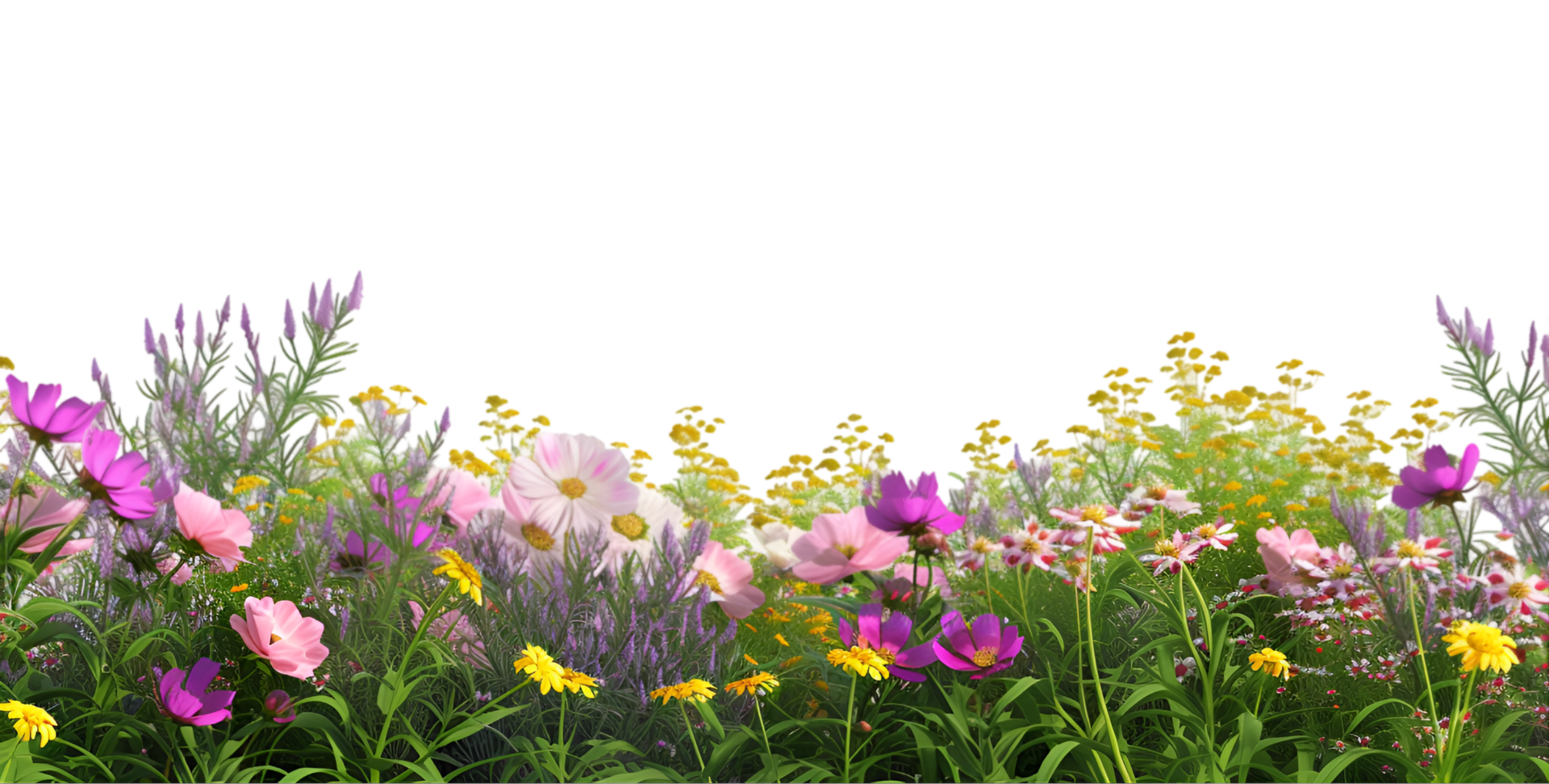A field of flowers is shown in this image png