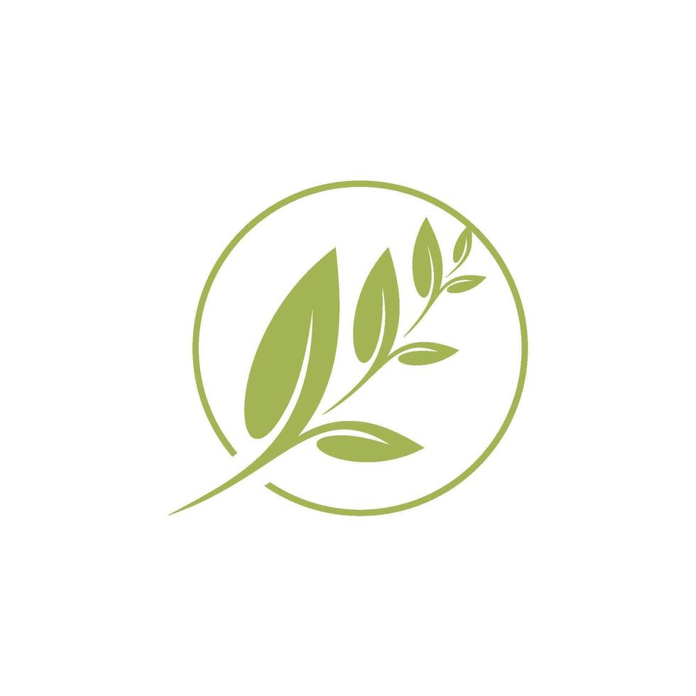 Green Leaves Logo Template vector