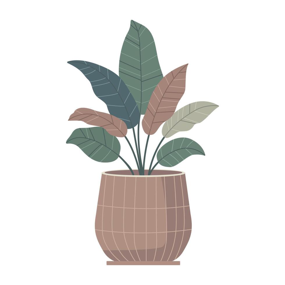 Indoor flower in a pot in boho style. vector