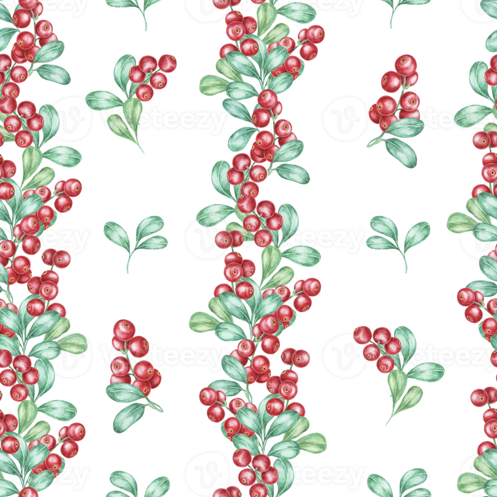 Red berries and green leaves aligned vertically in a seamless pattern design. This cranberry watercolor pattern can be used for holiday invitations, wrapping paper, or product packaging png