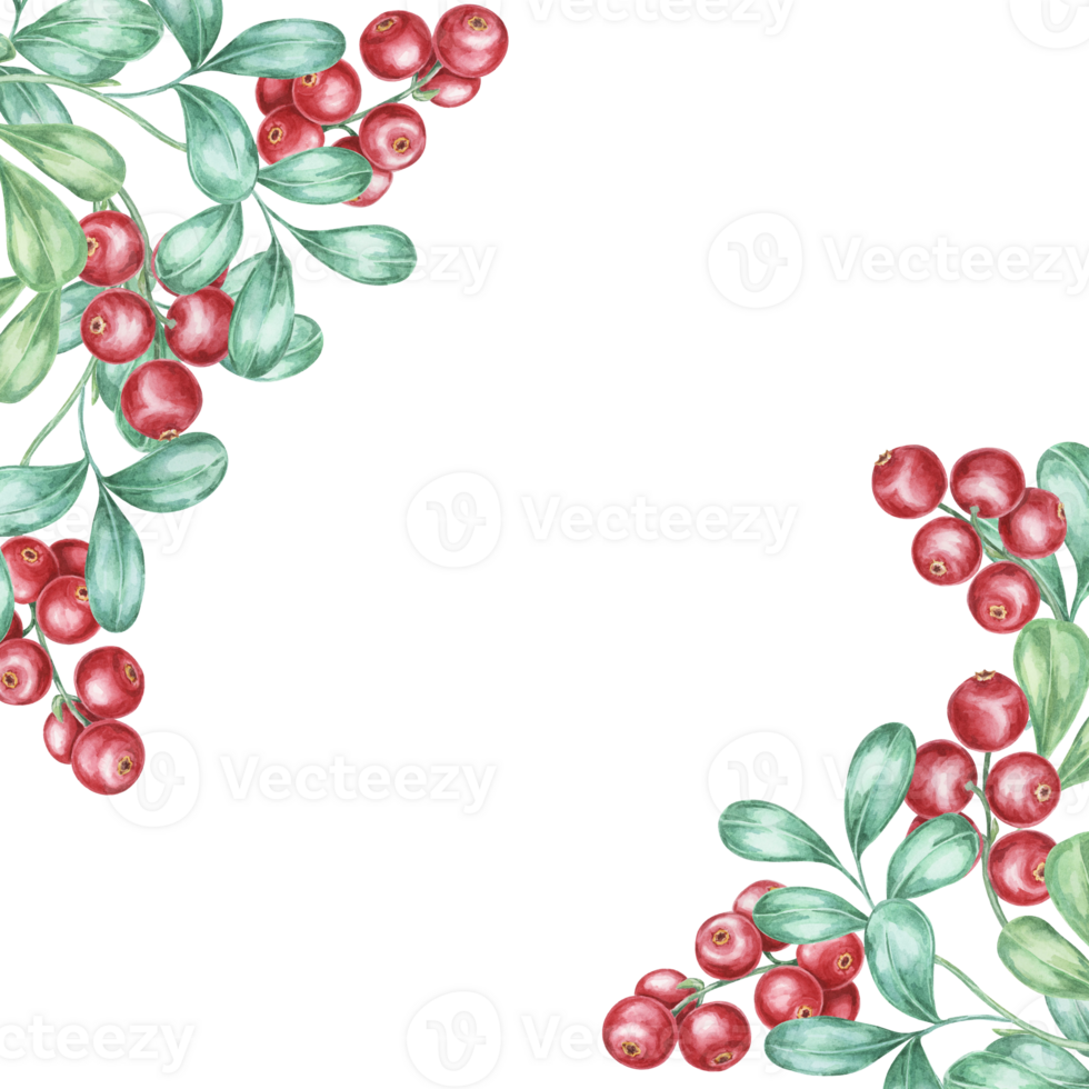 Corner frame featuring vibrant red cranberries and green leaves in the top right and bottom left. Watercolor clipart frame ideal for promotional materials, posters, or festive greeting cards png