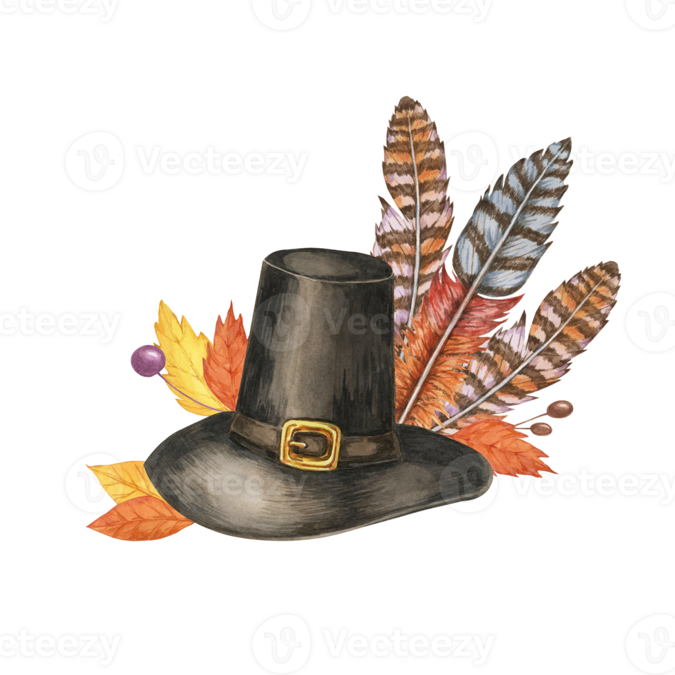 Pilgrim hat with turkey feathers, placed next to two pumpkins, one orange, the other purple. Isolated Watercolor illustration for autumn or Thanksgiving invitations, greeting cards, or merchandise png