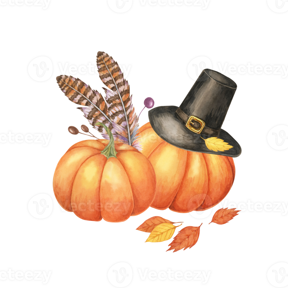 Black Pilgrim hat with a gold buckle, accompanied by turkey feathers and two orange pumpkins. Isolated watercolor clipart for Thanksgiving decor, seasonal greeting cards, or festive merchandise png