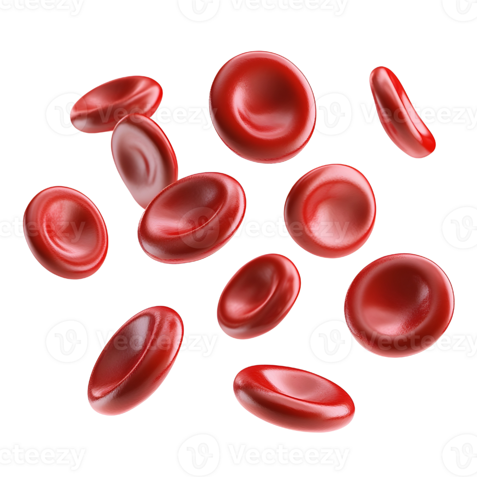 A detailed close-up of red blood cells floating in space, showcasing their smooth, disc-like shapes and vibrant red color, AI-Generateds png