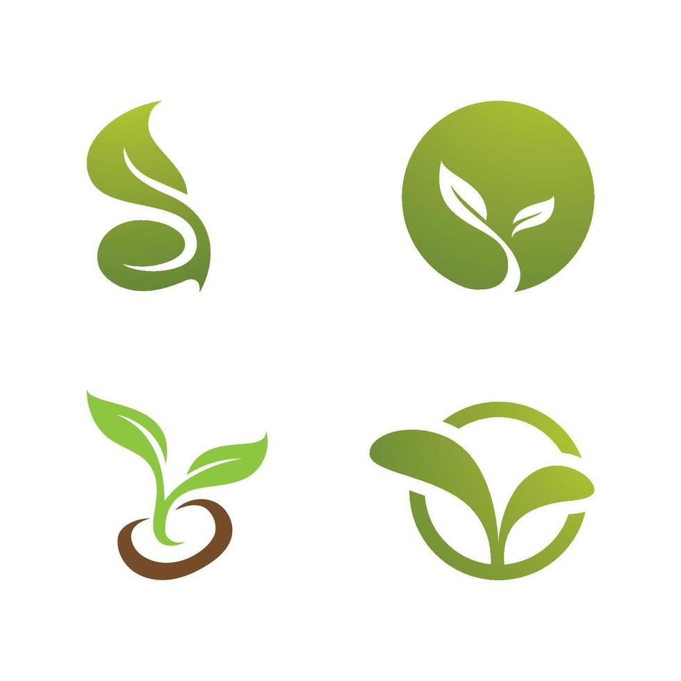 Plant Seeds Logo Concept Template vector
