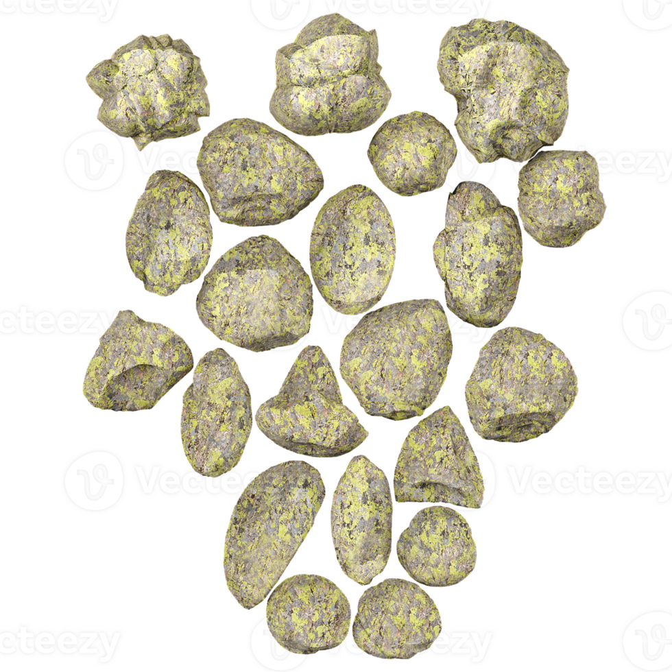 stone isolated on transparent Canvas from the top view png