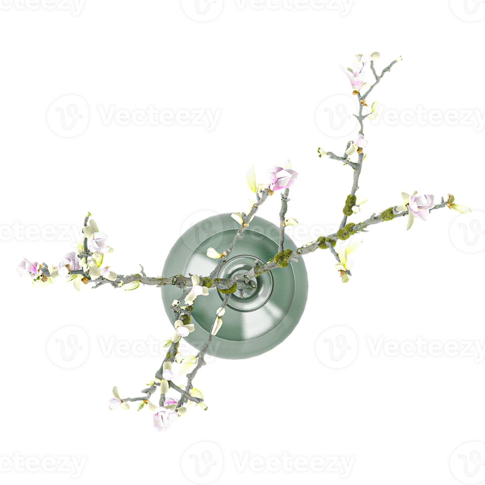 3d rendering of flowers and ornamental plants in pots from the top view png