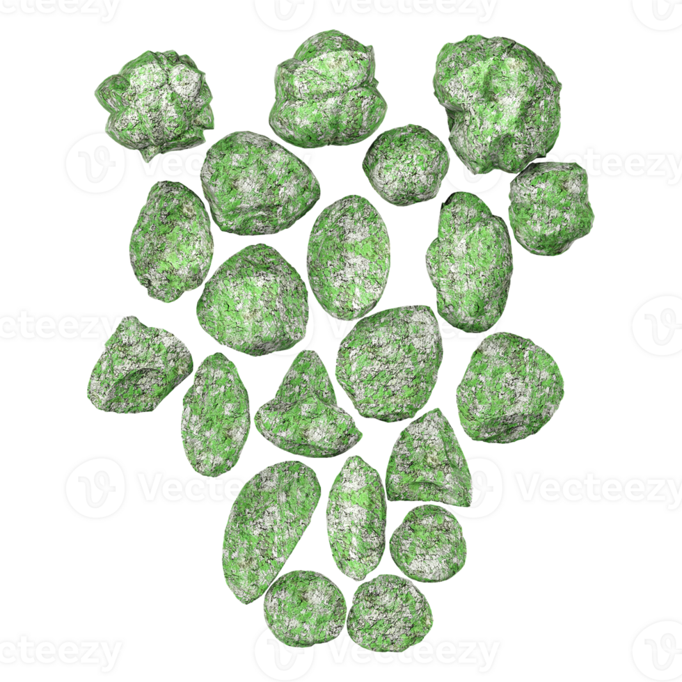 isolated tropical green on transparent Canvas from top view png