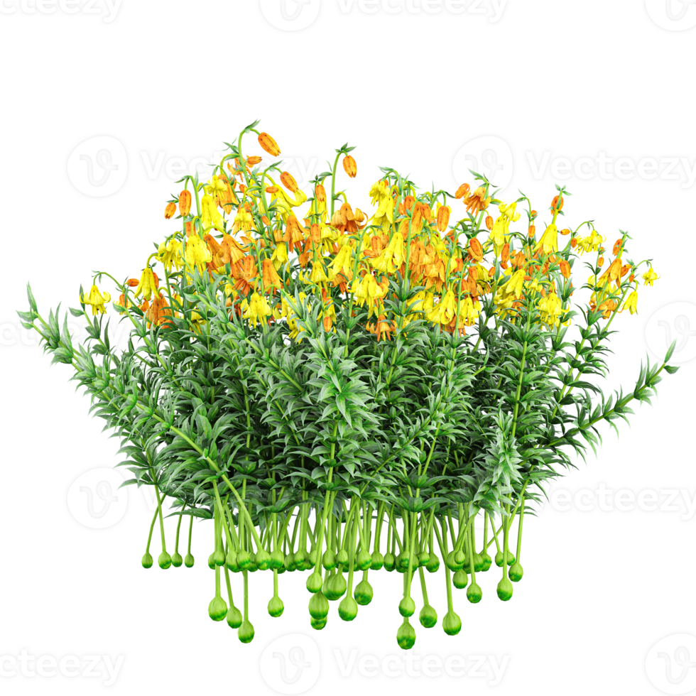 3d illustration of Crown imperial flower plant isolated on transparent Canvas png