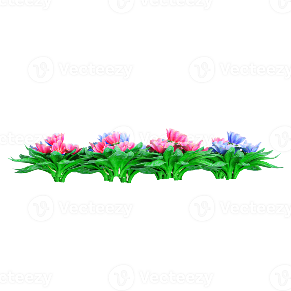 3d illustration of Kalmia latifolia flower plant isolated on transparent canvas png