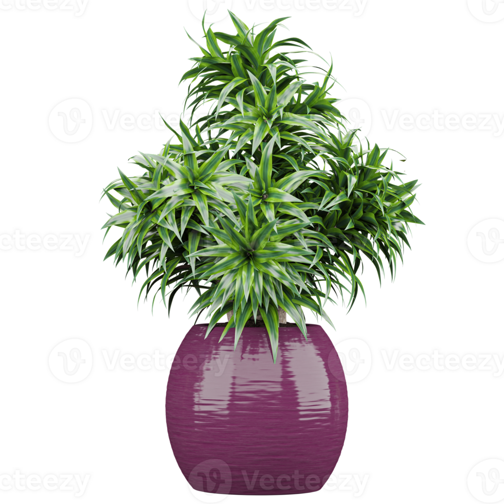3d illustration of houseplant potted on isolated transparent canvas png