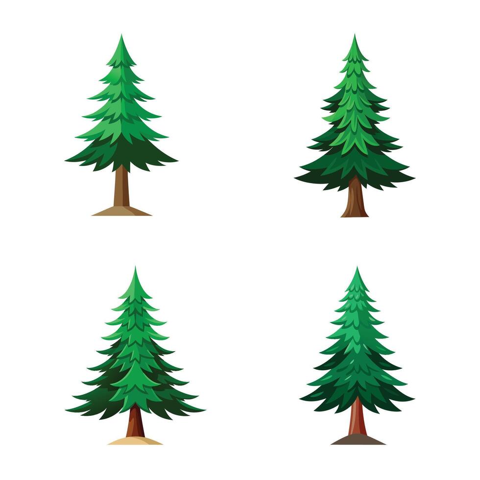 Four different types of pine trees on a white background vector