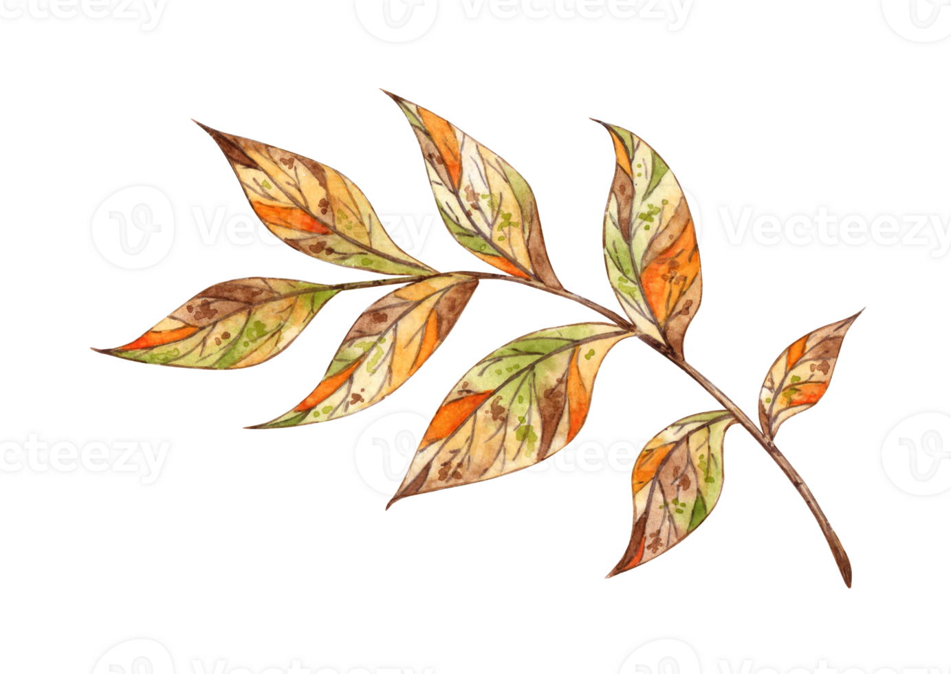 Autumn leaves on a twig in brown, orange, yellow and green colors watercolor illustration. Botanical decoration for Thanksgiving, Halloween, fall and harvest festival. Seasonal design Isolated png