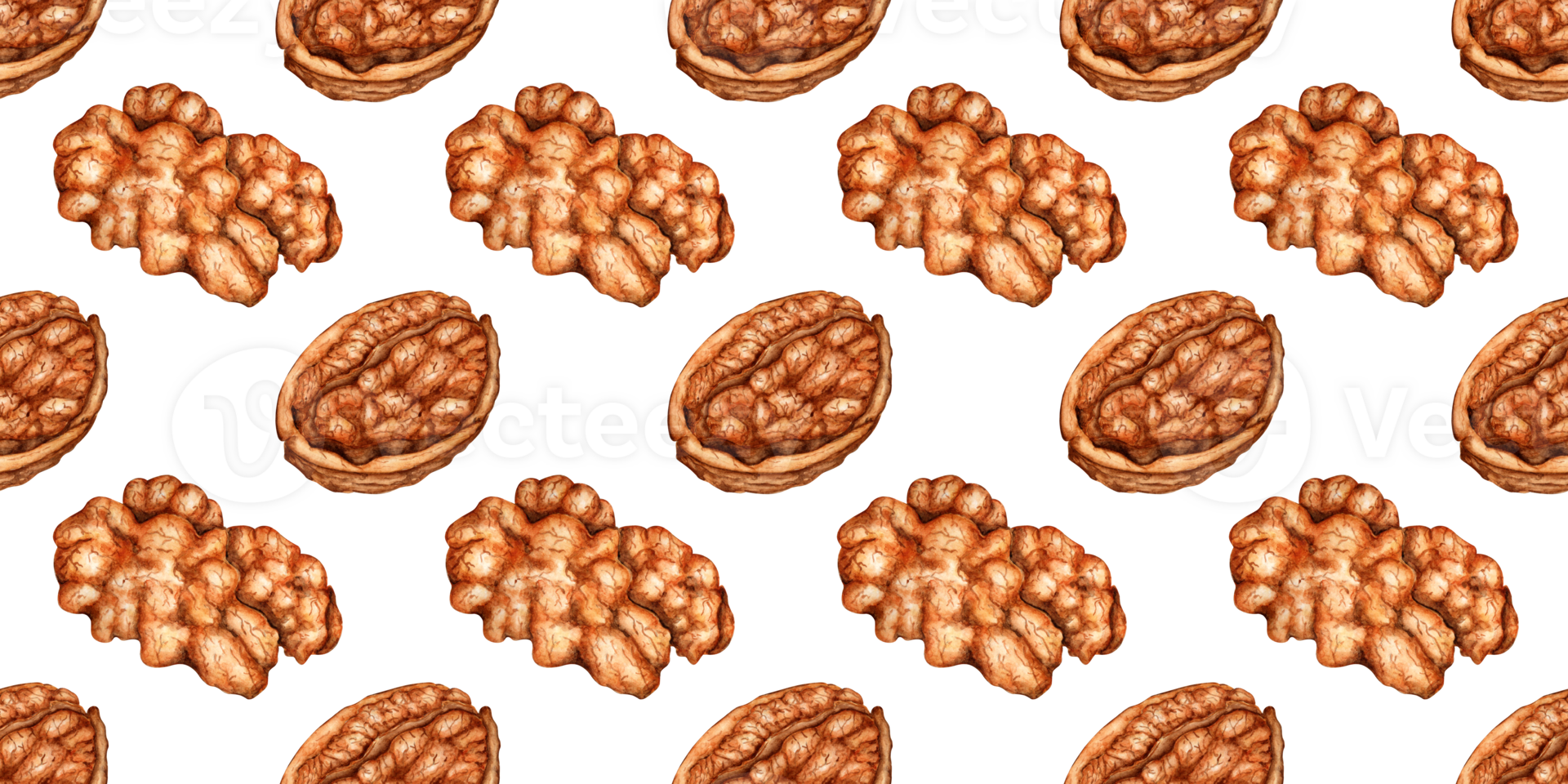 Walnut split and kernels pattern watercolor illustration isolated from background. Realistic texture and natural colors of shell and nut. Ideal for cooking, botanical still lifes, packaging design. png