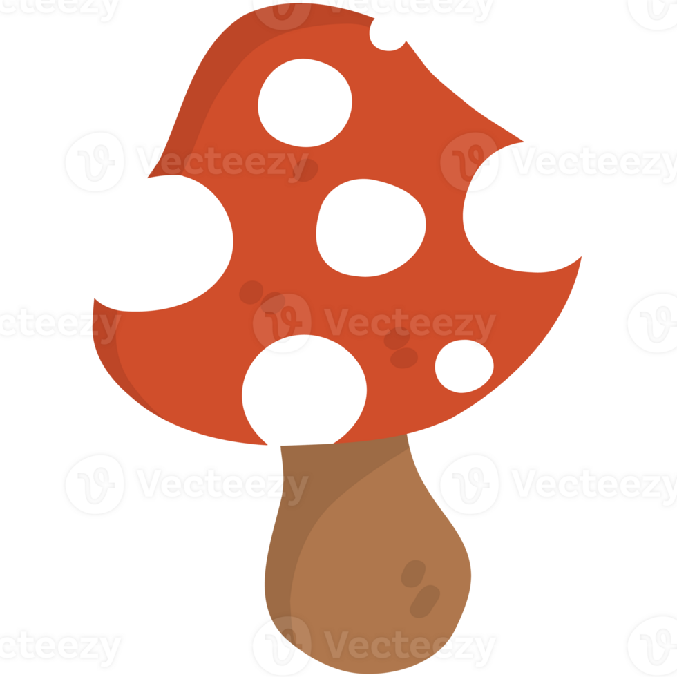 Mushrooms cartoon illustration png