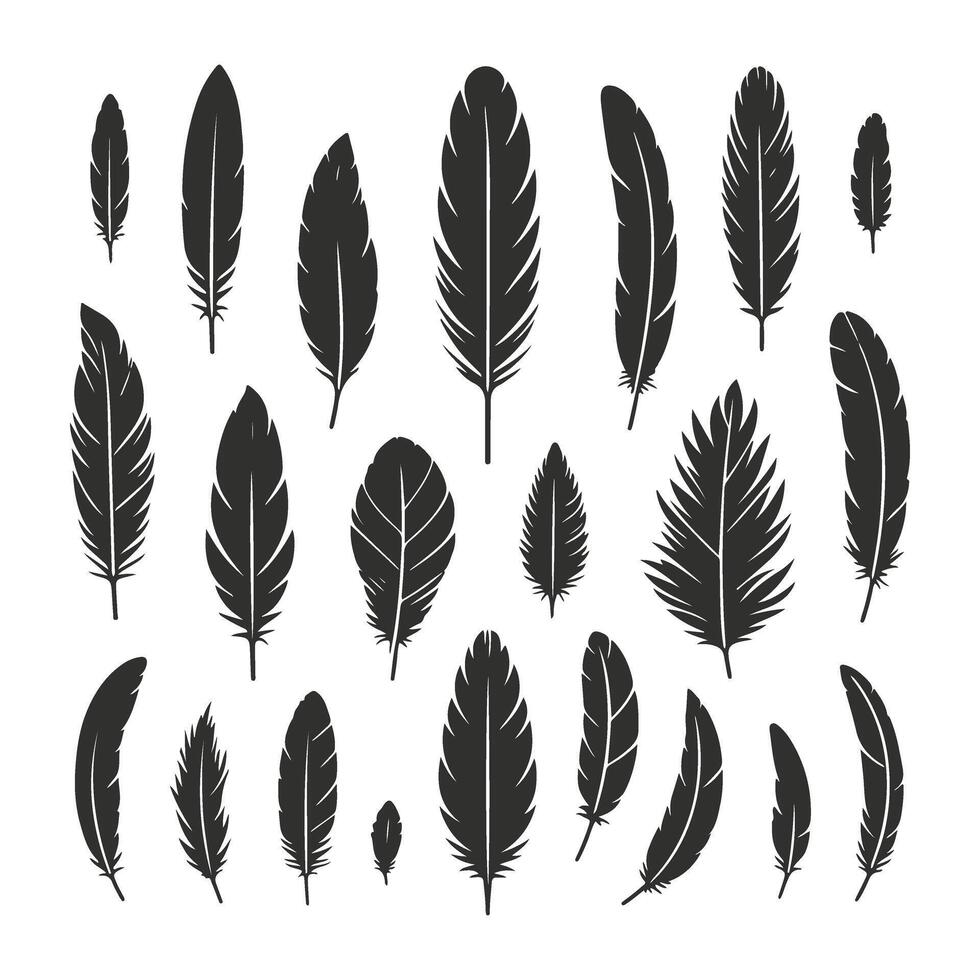 Decorative Feathers in Vintage Style vector