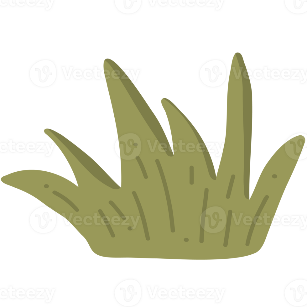 Grass simple illustration png