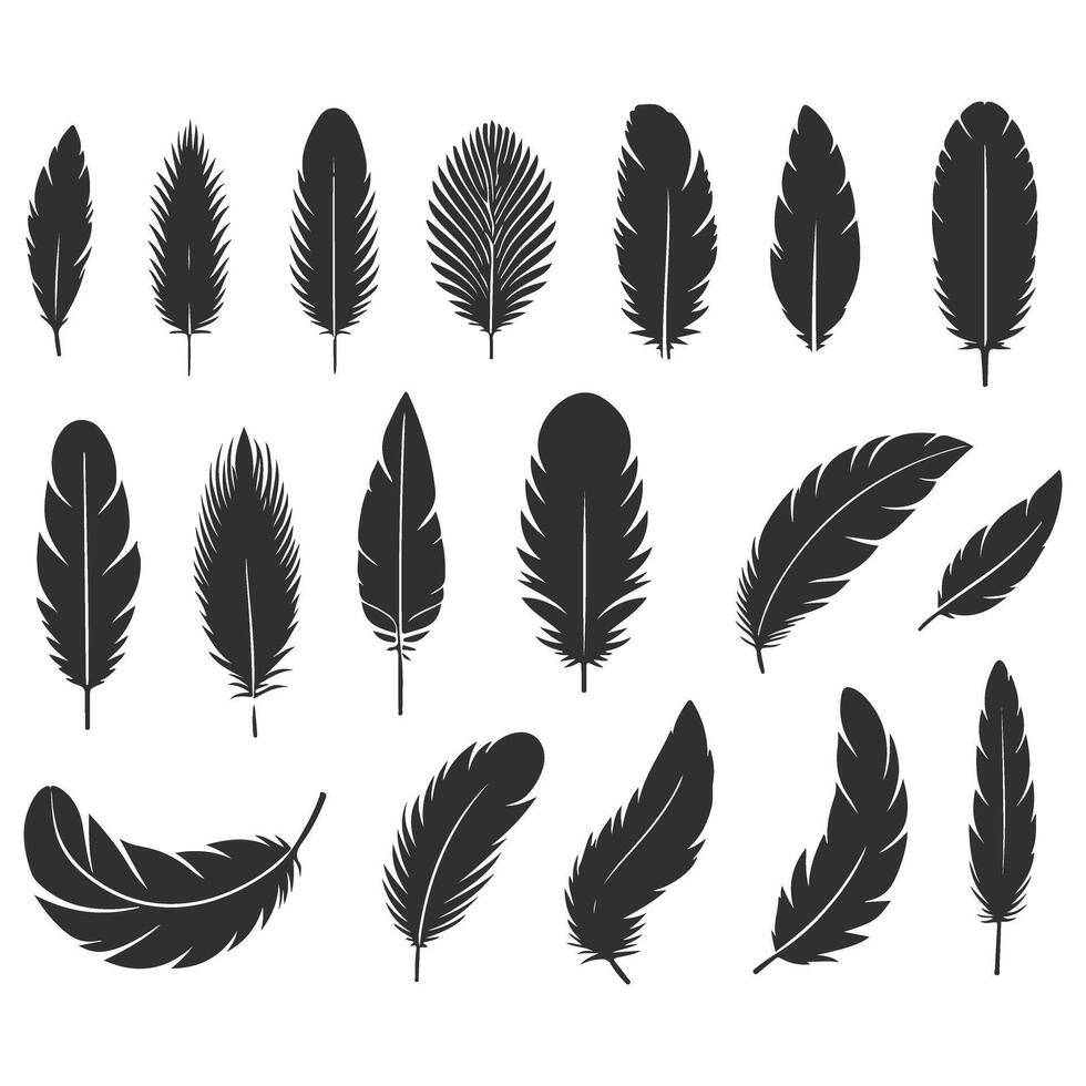 Feathers set illustration vector
