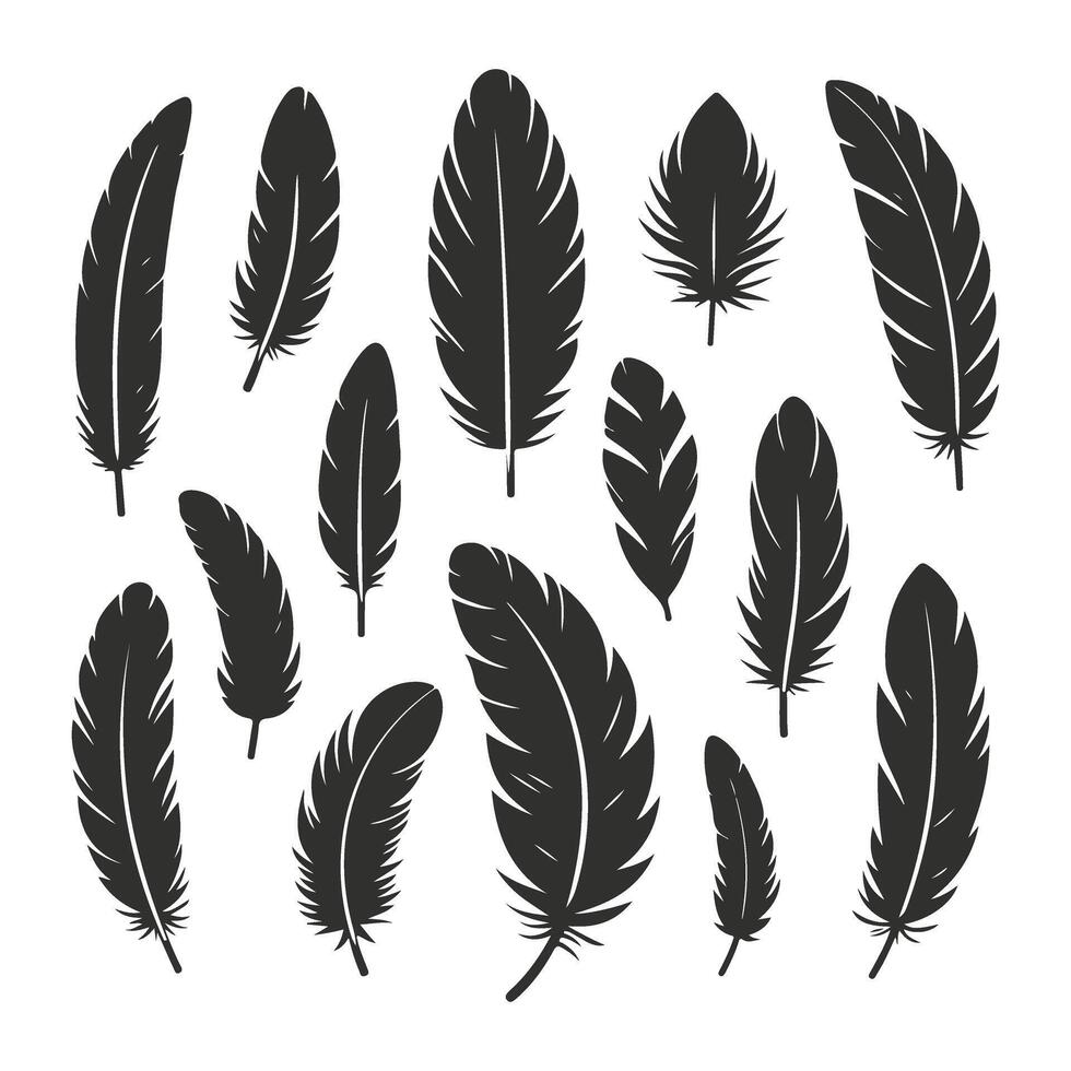 Feathers silhouette set vector