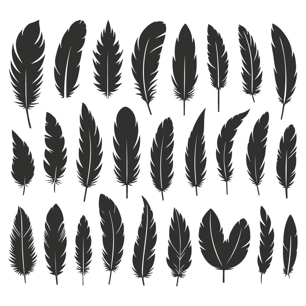 Old School Decorative Feather Collection vector