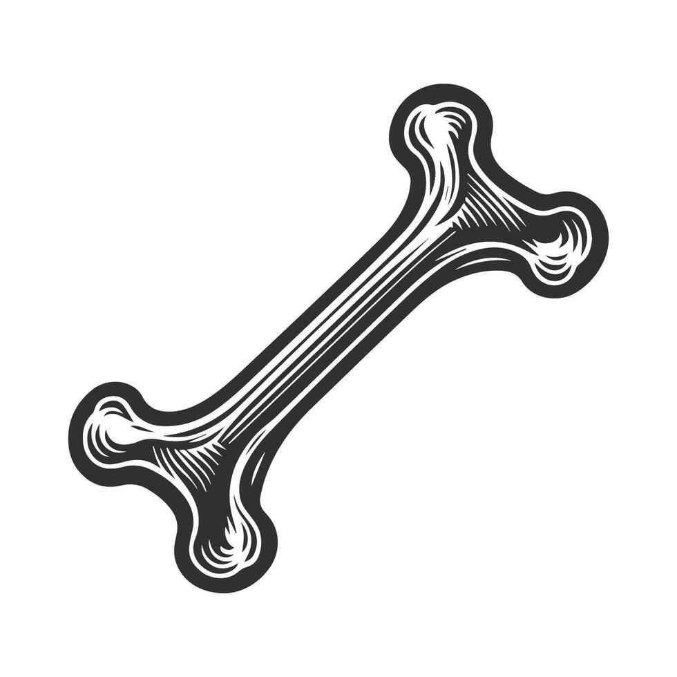 Vintage dog bone template. vector