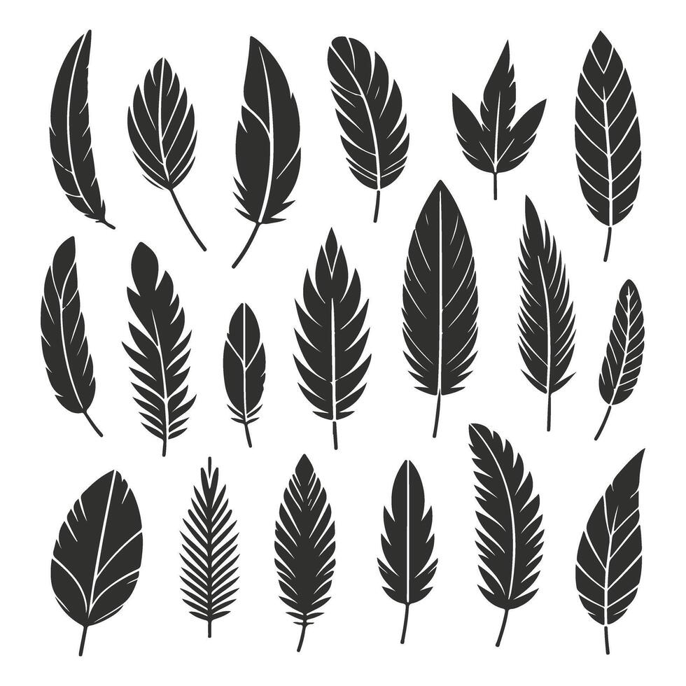 Retro Feather Designs Collection vector