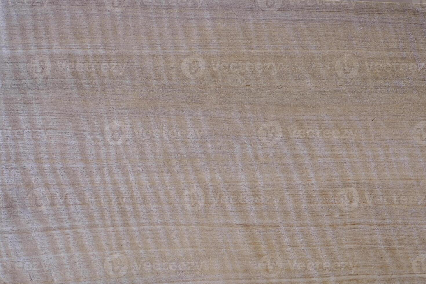 Maple wood has tiger stripe or curly stripe grain photo