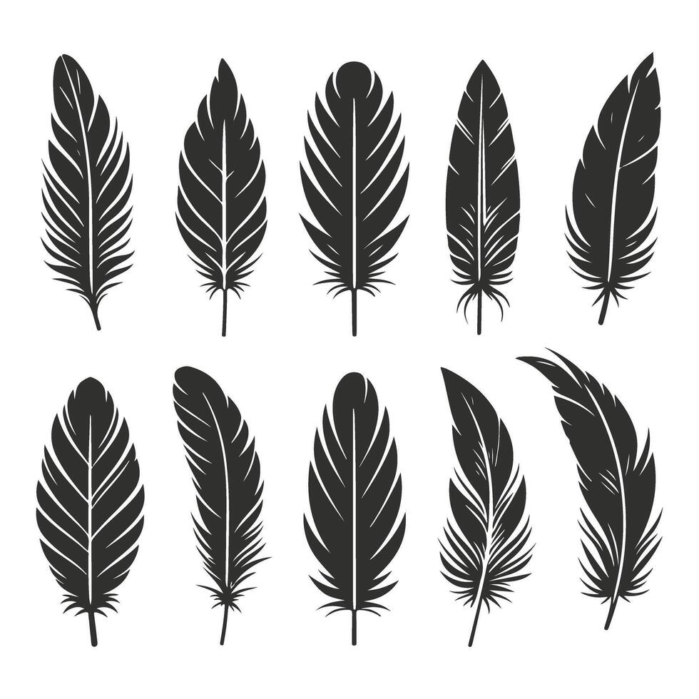 Collection of vintage decorative feathers. vector