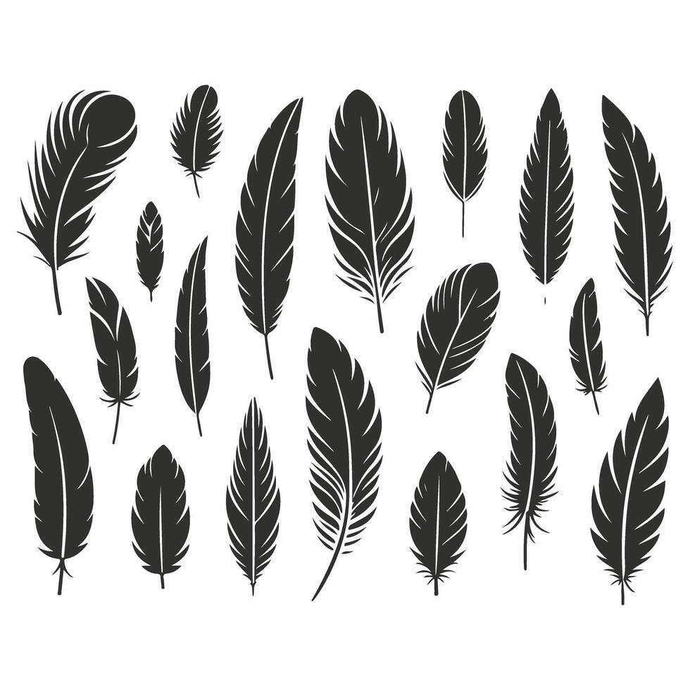 Antique Style Decorative Feathers vector