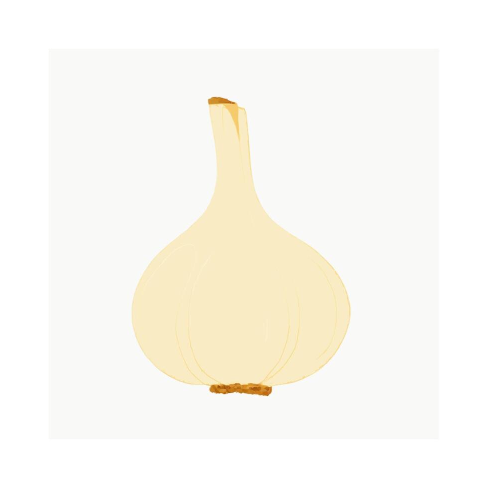 Garlic Vegetable Herb Spice Cooking vector