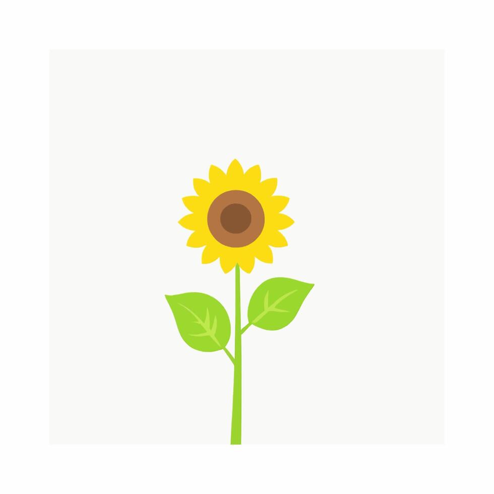 Sunflower Bloom Yellow Bright Nature vector