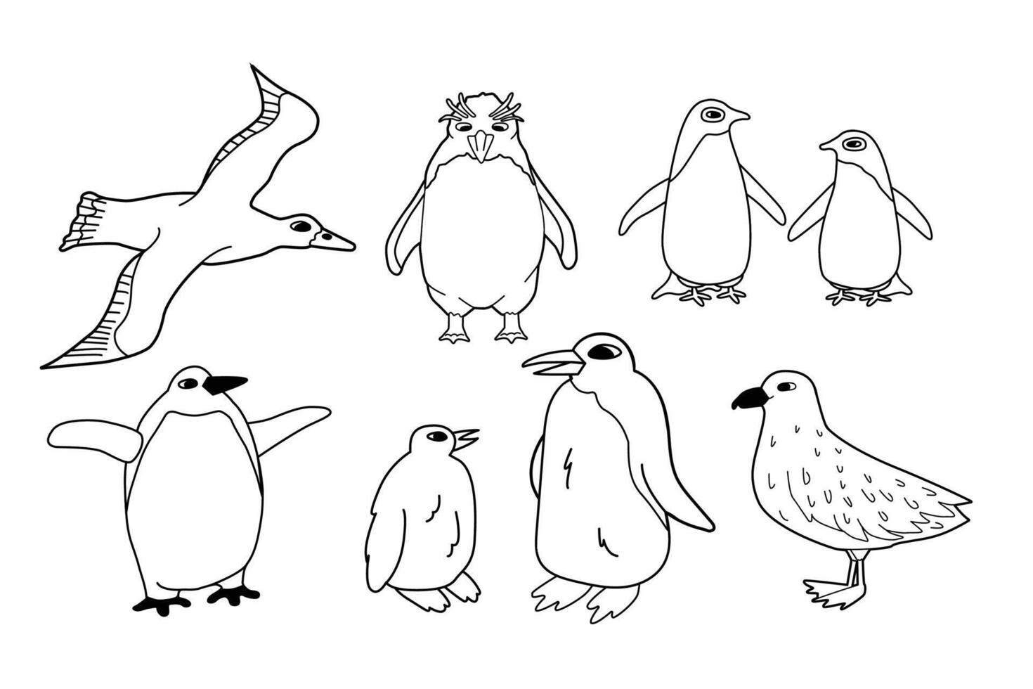 black white line set of isolated animals in Antarctica. Hand drawn outline adelie, king, emperor, macaroni penguins, skua, albatross. vector
