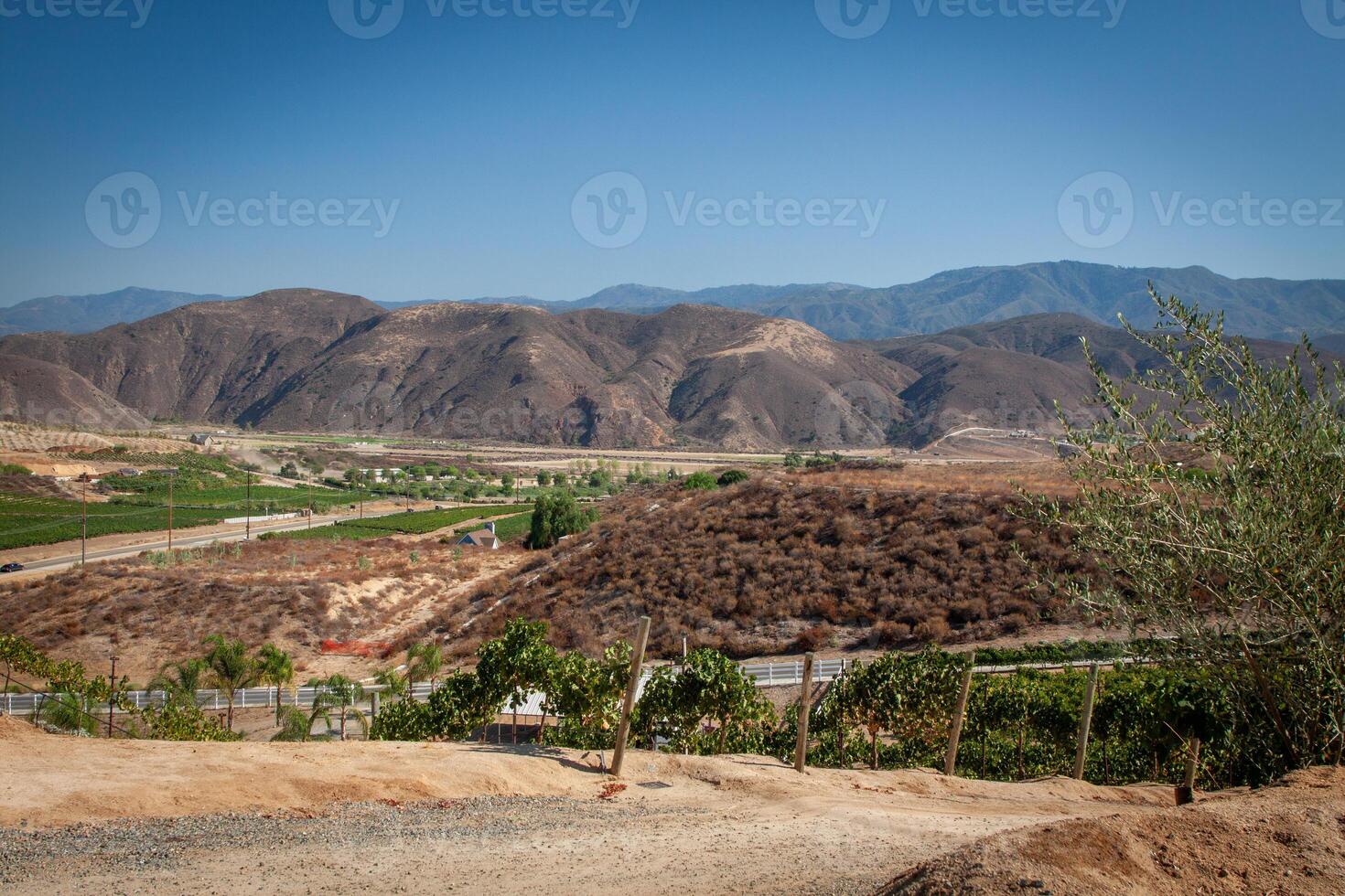 View from Temecula Winery photo