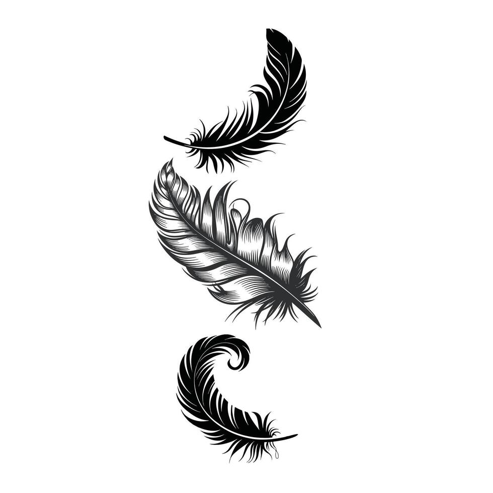 A set of feathers that are black and white vector