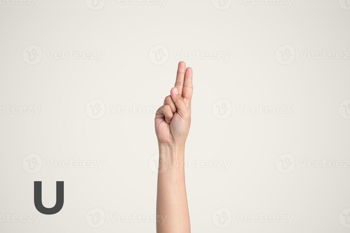 Deaf Sign alphabet of U, American Sign Language ASL. Isolated object Finger spelling the alphabet photo