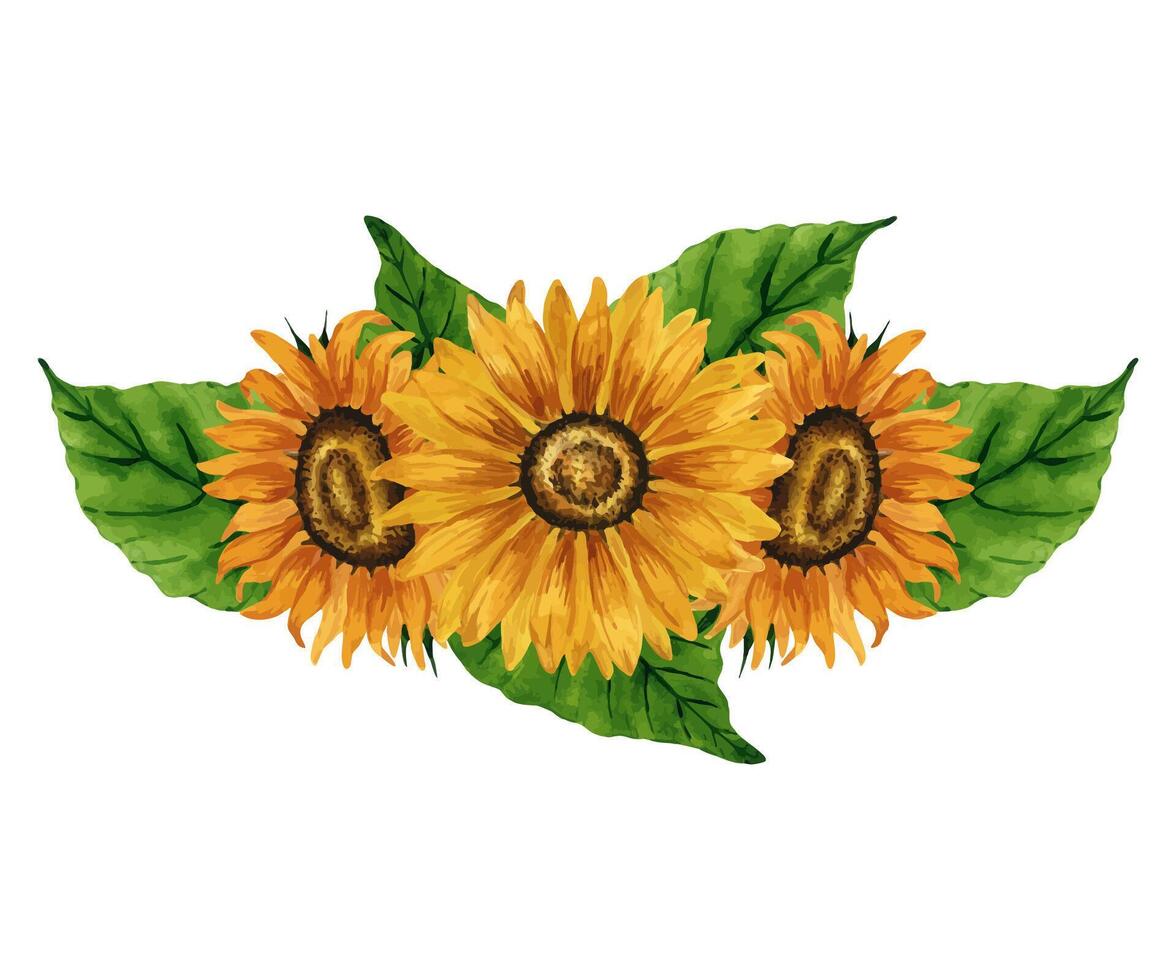Sunflowers bouquet composition. Hand drawn botanical illustration with floral arrangement of bright yellow flowers. Summer flowers drawing. Autumn flowers for postcard, logo, background, pattern. vector