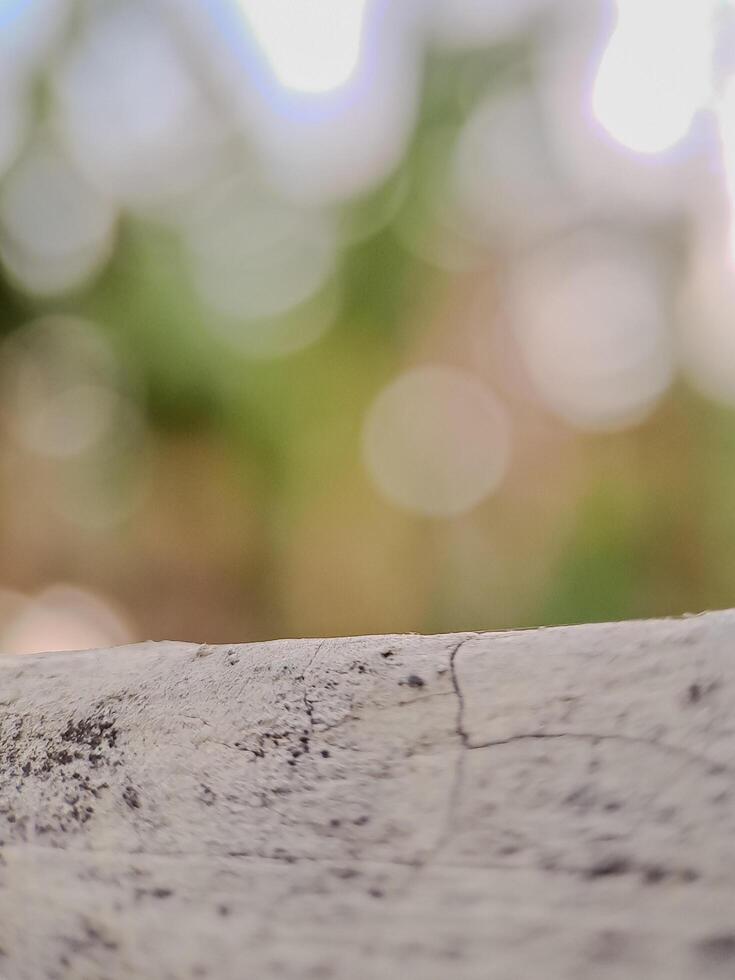 blurred background with soft, circular bokeh lights and a textured foreground. Perfect for serene designs. photo