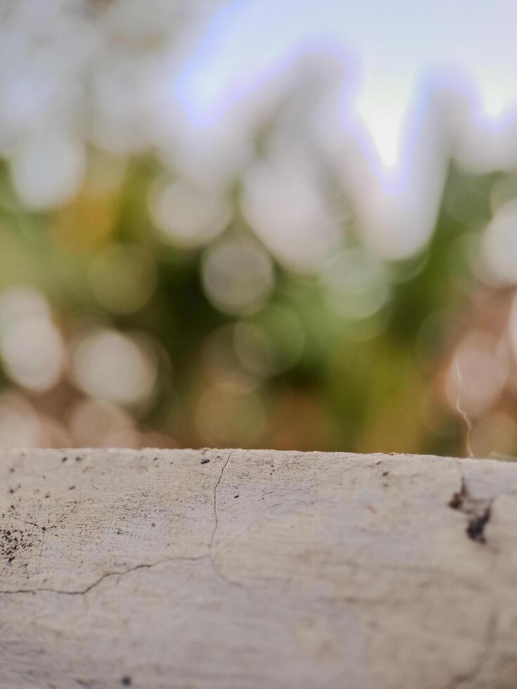 blurred background with soft, circular bokeh lights and a textured foreground. Perfect for serene designs. photo