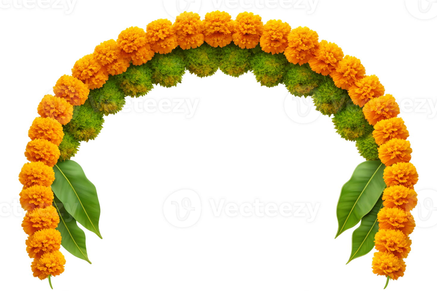 A floral toran of marigold flowers,mango leaves, arranged in a neat arch shape. png