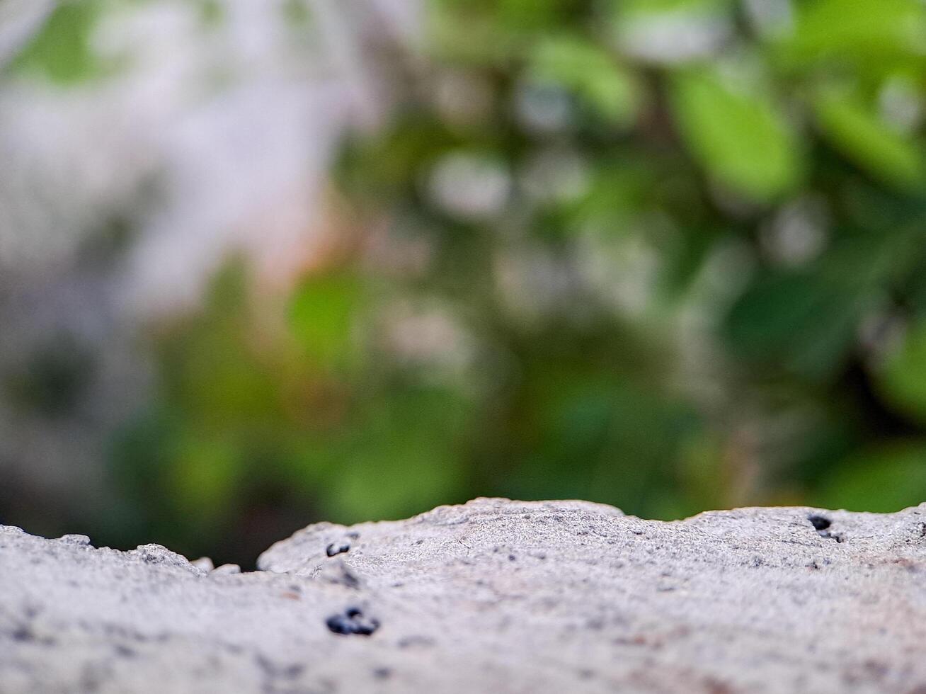 blurred background with soft, circular bokeh lights and a textured foreground. Perfect for serene designs. photo