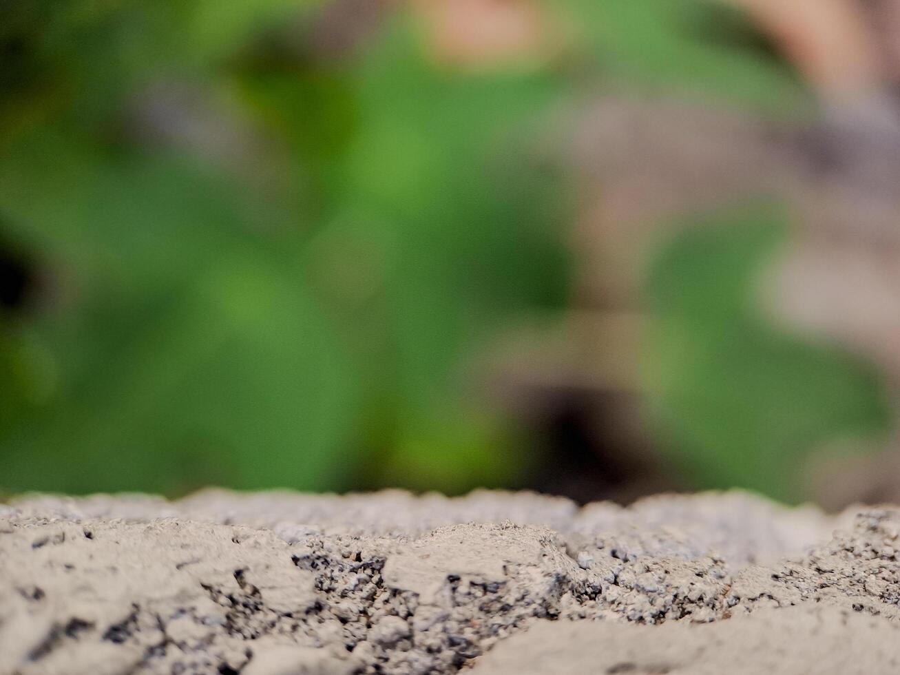 blurred background with soft, circular bokeh lights and a textured foreground. Perfect for serene designs. photo